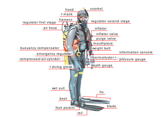 SCUBA – 'Self Contained Underwater Breathing Apparatus'- Oceans Divers