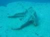 red_sea_ship_wreck_anchour