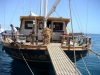 Akacia Back of Boat, Red Sea Hurghada