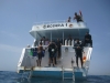 Gulf Divers Boshra Dive Boat Egypt