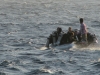 Gulf Divers Fully Maned Zodiac, Red Sea Hurghada